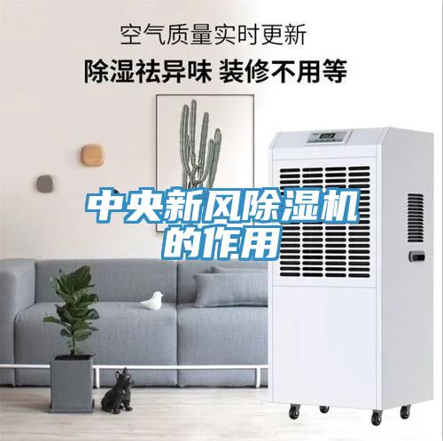 中央新風91看片软件大全的作用