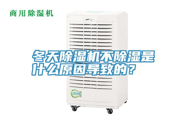 冬天91看片软件大全不除濕是什麽原因導致的？