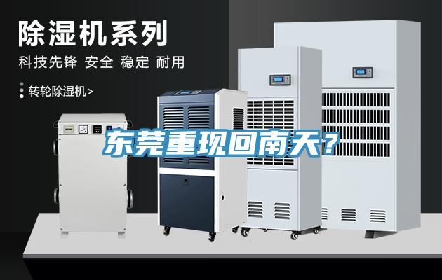 東莞重現回南天？