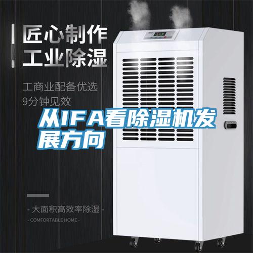 從IFA看91看片软件大全發展方向
