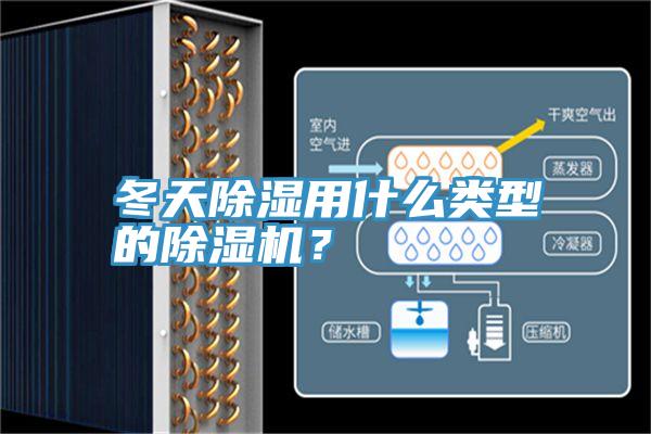冬天除濕用什麽類型的91看片软件大全？