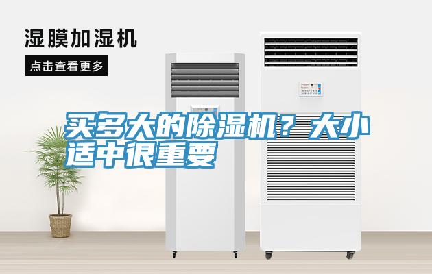 買多大的91看片软件大全？大小適中很重要
