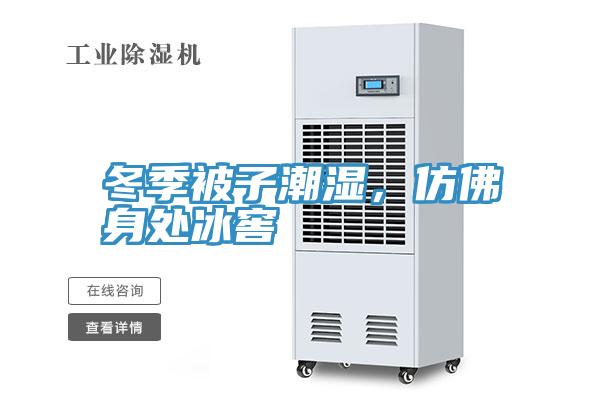 冬季被子潮濕，仿佛身處冰窖