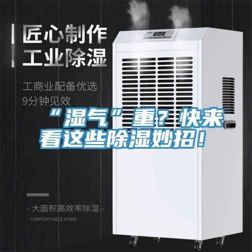 “濕氣”重？快來看這些除濕妙招！