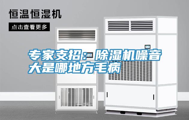 專家支招：91看片软件大全噪音大是哪地方毛病