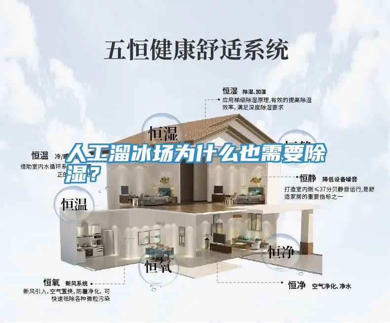 人工溜冰場為什麽也需要除濕？