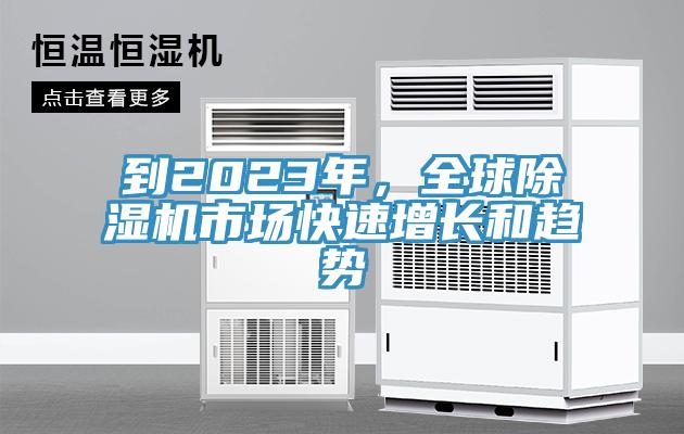 到2023年，全球91看片软件大全市場快速增長和趨勢