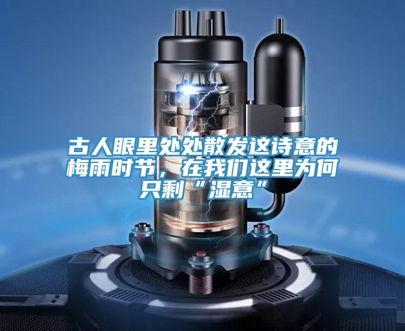 古人眼裏處處散發這詩意的梅雨時節，在91AV手机看片這裏為何隻剩“濕意”