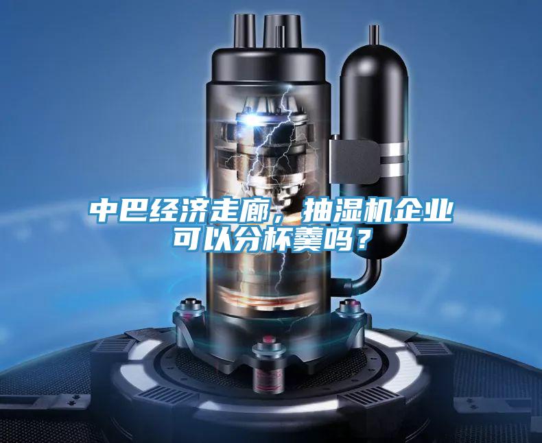 中巴經濟走廊，抽濕機企業可以分杯羹嗎？