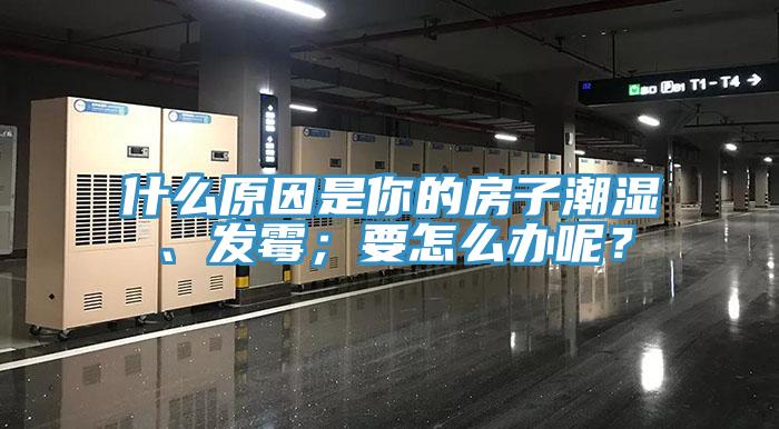 什麽原因是你的房子潮濕、發黴；要怎麽辦呢？