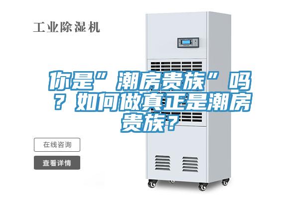 你是”潮房貴族”嗎？如何做真正是潮房貴族？