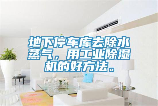 地下停車庫去除水蒸氣，用工業91看片软件大全的好方法。