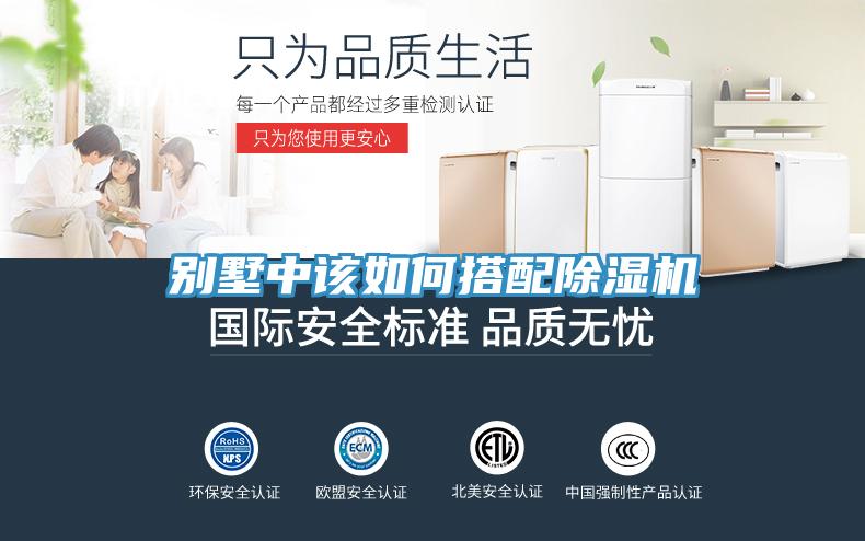 別墅中該如何搭配91看片软件大全