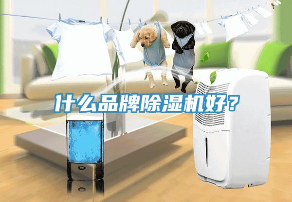 什麽品牌91看片软件大全好？