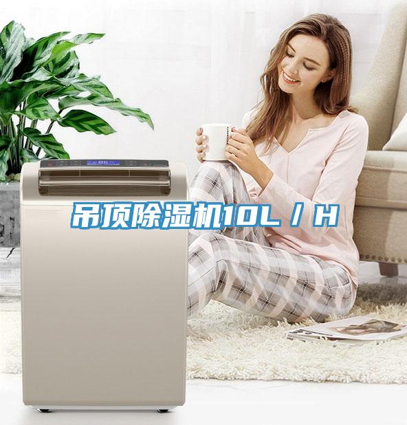 吊頂91看片软件大全10L／H