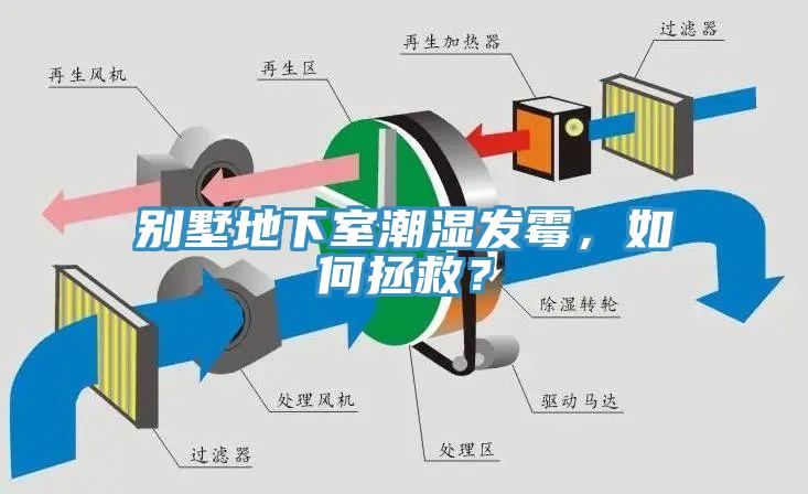 別墅地下室潮濕發黴，如何拯救？