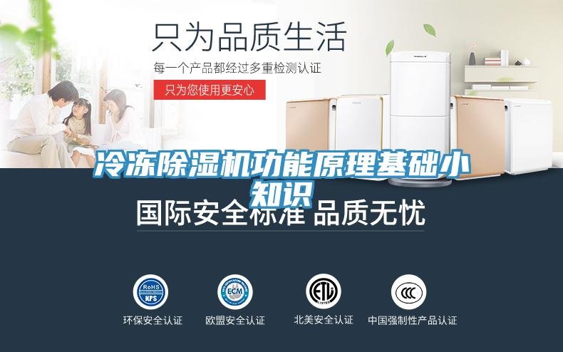 冷凍91看片软件大全功能原理基礎小知識