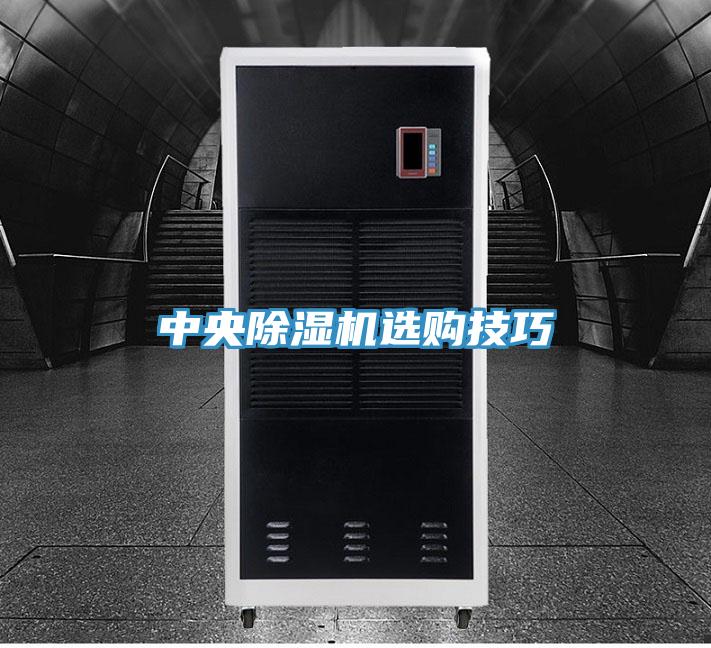 中央91看片软件大全選購技巧