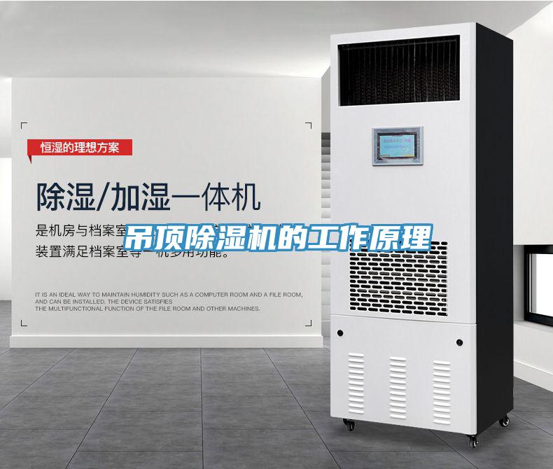 吊頂91看片软件大全的工作原理