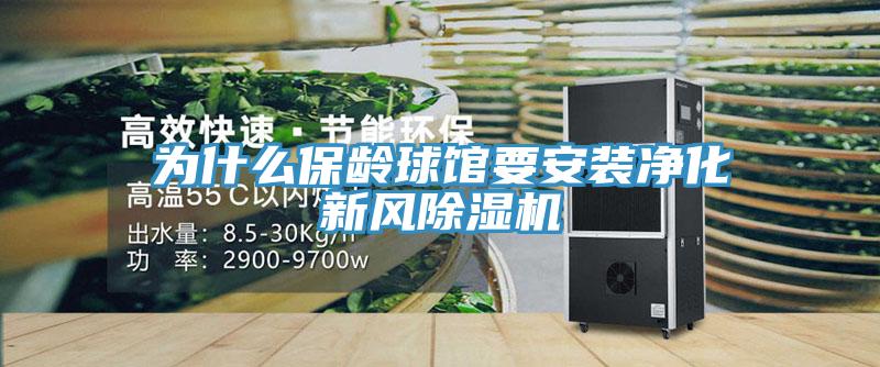 為什麽保齡球館要安裝淨化新風91看片软件大全