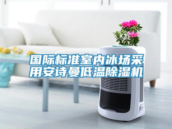 國際標準室內冰場采用91AV手机看片低溫91看片软件大全