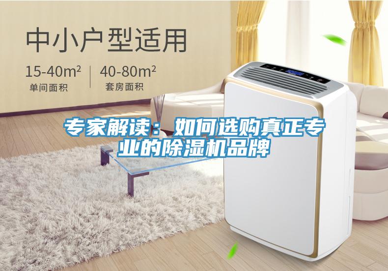 專家解讀：如何選購真正專業的91看片软件大全品牌