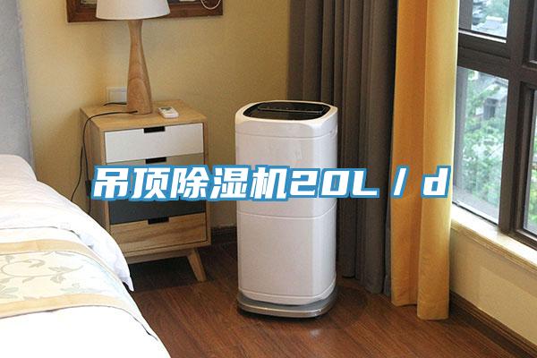 吊頂91看片软件大全20L／d
