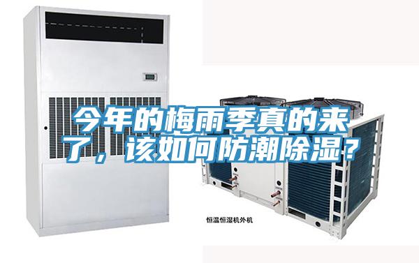 今年的梅雨季真的來了，該如何防潮除濕？