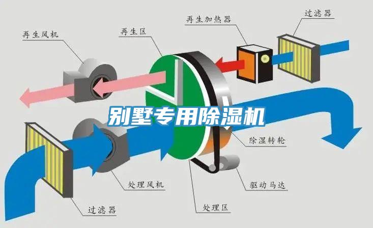 別墅專用91看片软件大全