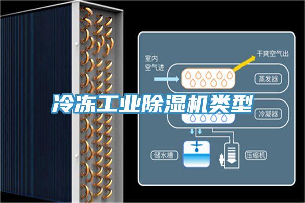 冷凍工業91看片软件大全類型