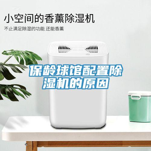 保齡球館配置91看片软件大全的原因