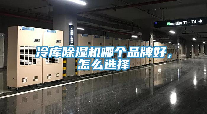 冷庫91看片软件大全哪個品牌好，怎麽選擇