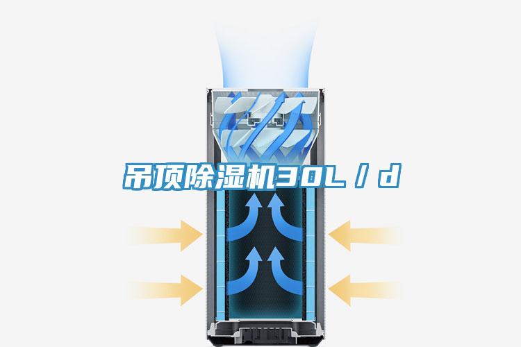 吊頂91看片软件大全30L／d