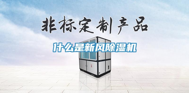 什麽是新風91看片软件大全