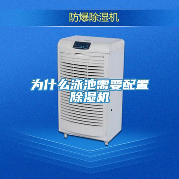 為什麽泳池需要配置91看片软件大全