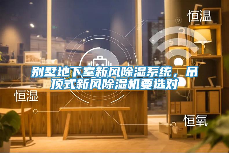 別墅地下室新風除濕係統，吊頂式新風91看片软件大全要選對