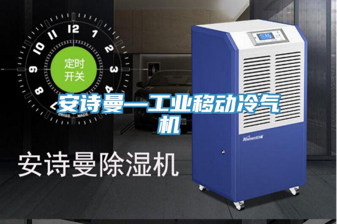 91AV手机看片—工業移動冷氣機