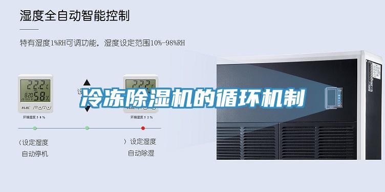 冷凍91看片软件大全的循環機製