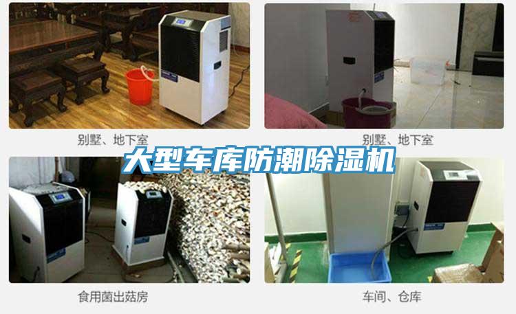 大型車庫防潮91看片软件大全