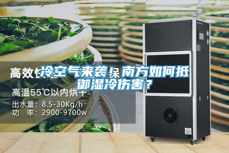 冷空氣來襲！南方如何抵禦濕冷傷害？