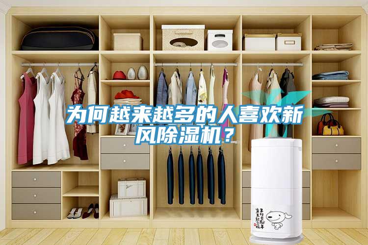 為何越來越多的人喜歡新風91看片软件大全？