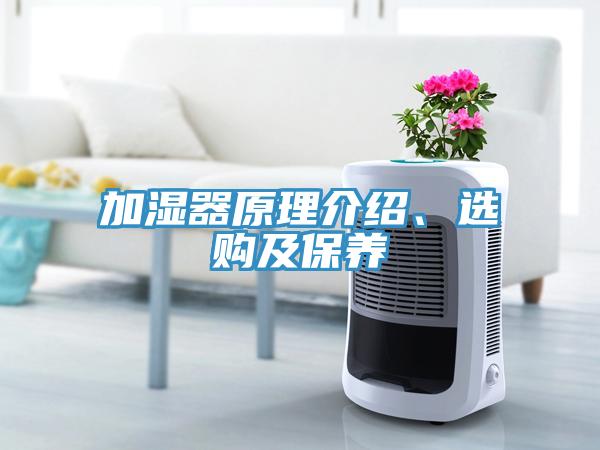 加濕器原理介紹、選購及保養
