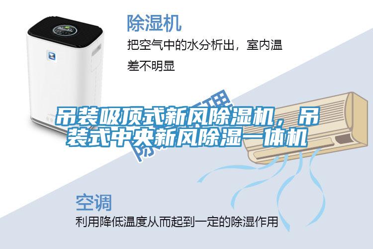 吊裝吸頂式新風91看片软件大全，吊裝式中央新風除濕一體機