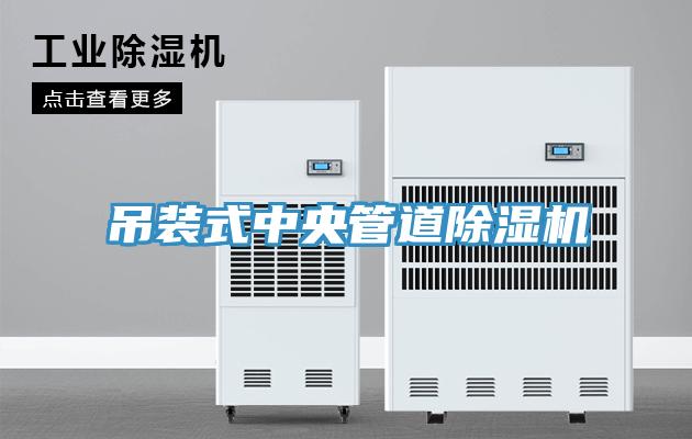 吊裝式中央管道91看片软件大全