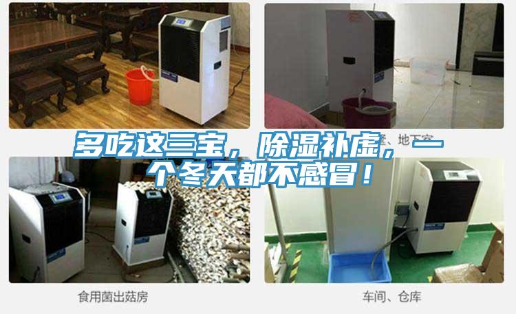 多吃這三寶，除濕補虛，一個冬天都不感冒！