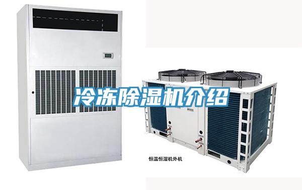 冷凍91看片软件大全介紹