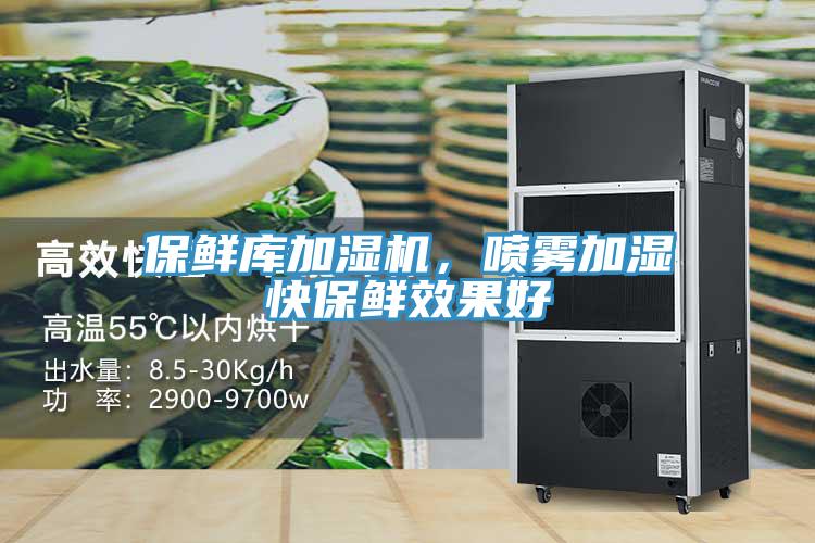 保鮮庫加濕機，噴霧加濕快保鮮效果好