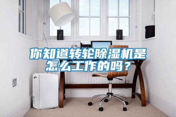 你知道轉輪91看片软件大全是怎麽工作的嗎？