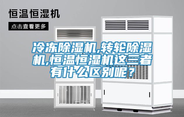 冷凍91看片软件大全,轉輪91看片软件大全,恒溫恒濕機這三者有什麽區別呢？