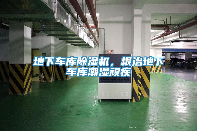 地下車庫91看片软件大全，根治地下車庫潮濕頑疾